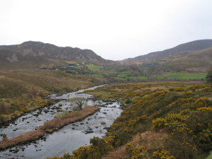 It's yellow plants around a river, with green background.